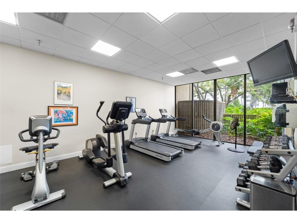 2413 Bayshore Boulevard #801 Tampa FL 33629 TB8374348 image39