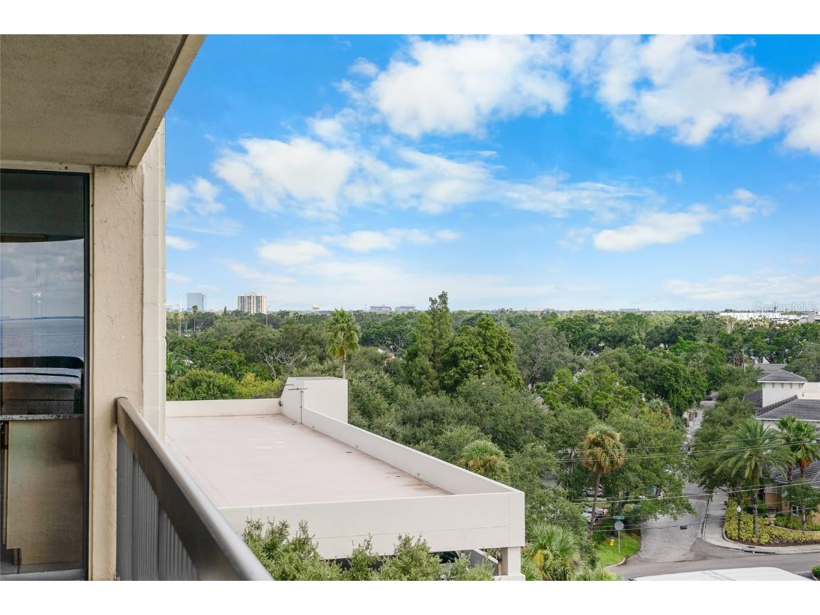 2413 Bayshore Boulevard #801 Tampa FL 33629 TB8374348 image49