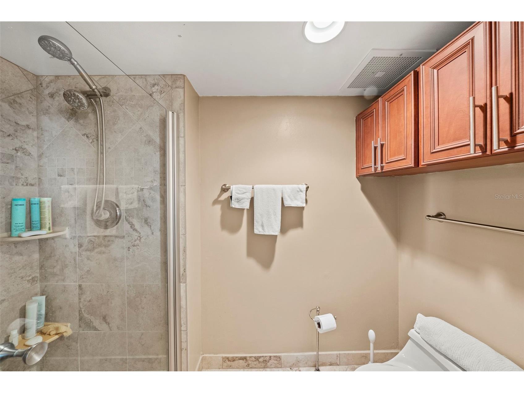 2413 Bayshore Boulevard #803 Tampa FL 33629 - TAMPA BAY TB8496492 image40