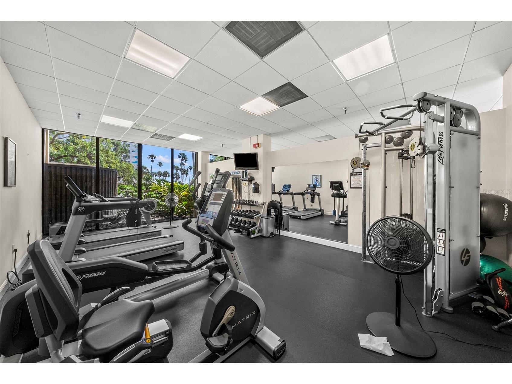 2413 Bayshore Boulevard #803 Tampa FL 33629 - TAMPA BAY TB8496492 image72