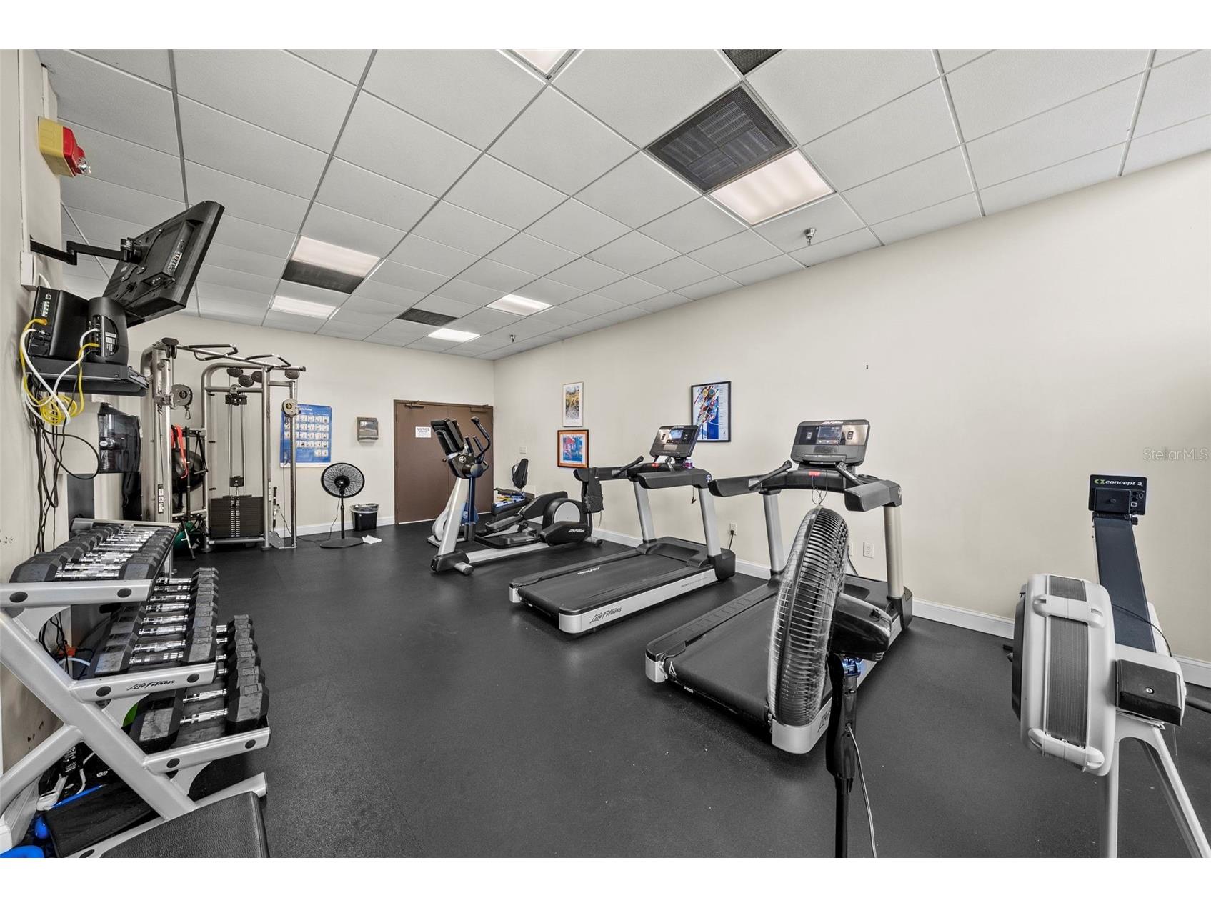 2413 Bayshore Boulevard #803 Tampa FL 33629 - TAMPA BAY TB8496492 image73