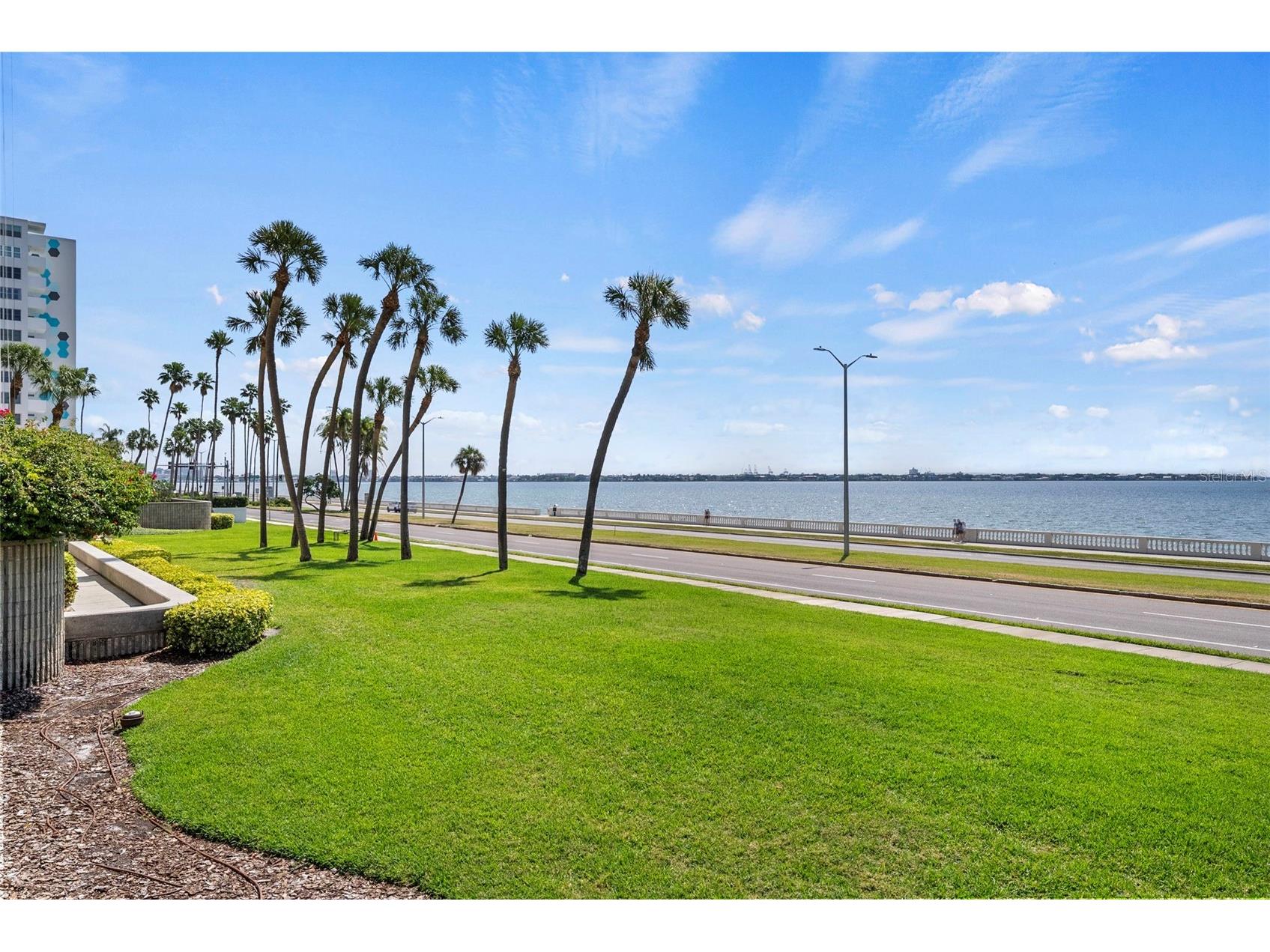 2413 Bayshore Boulevard #803 Tampa FL 33629 - TAMPA BAY TB8496492 image92