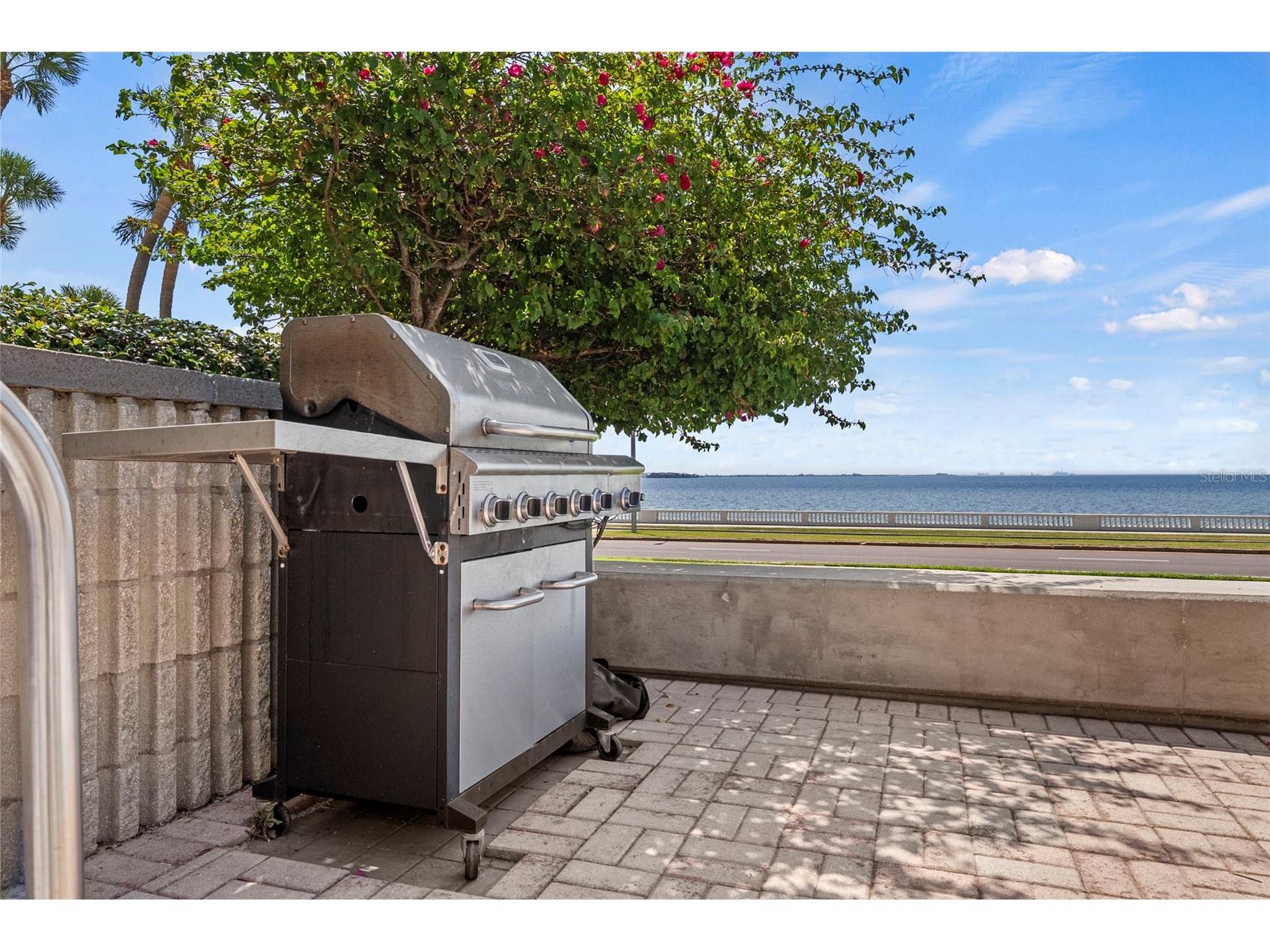 2413 Bayshore Boulevard #803 Tampa FL 33629 - TAMPA BAY TB8496492 image93