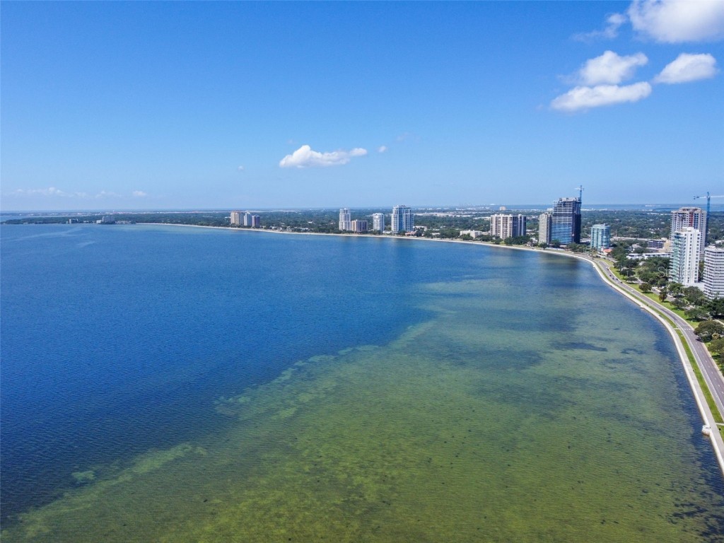 2413 Bayshore Boulevard #805 Tampa FL 33629 T3448811 image1