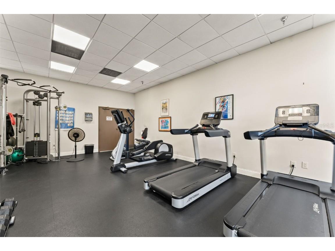 2413 Bayshore Boulevard #805 Tampa FL 33629 TB8424852 image38