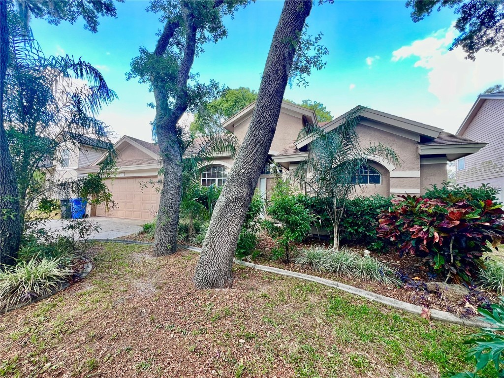 2413 Needham Drive Valrico FL 33596 T3524343 image1