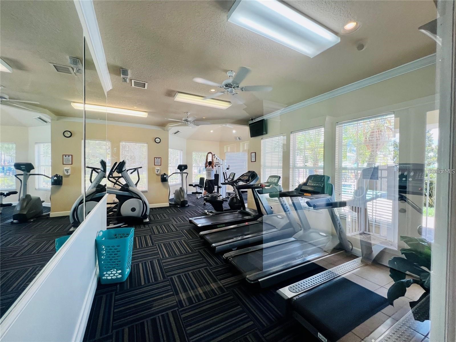 2413 Silver Palm Drive Kissimmee FL 34747 S5141221 image18