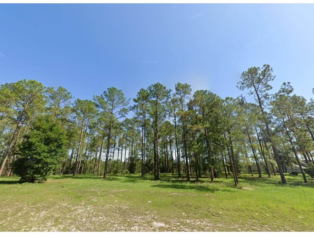 24135 Greenwood Crossing Eustis FL 32736 O6332465 image1