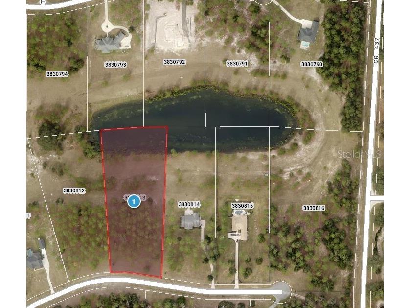 24135 Greenwood Crossing Eustis FL 32736 O6332465 image2