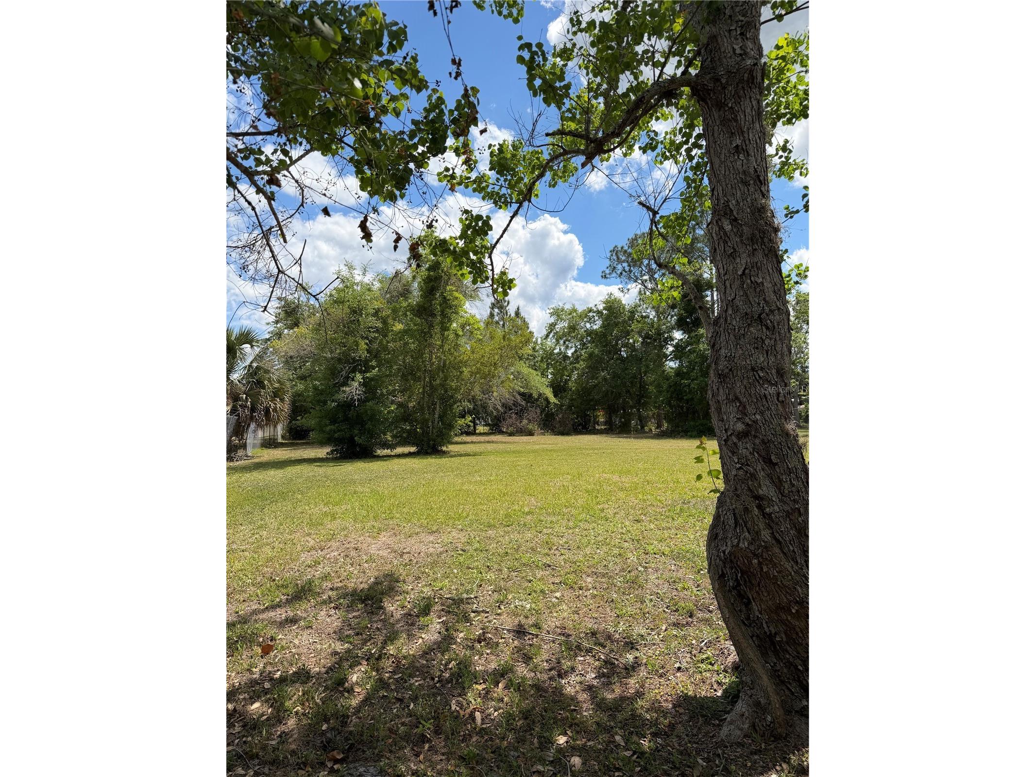 24138 Panther Road Astor FL 32102 G5111412 image25