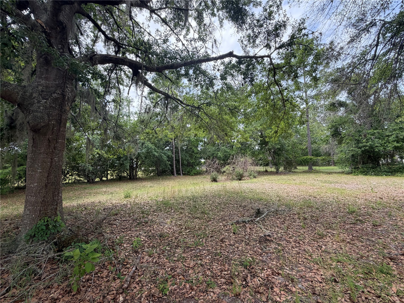 24138 Panther Road Astor FL 32102 G5111412 image8