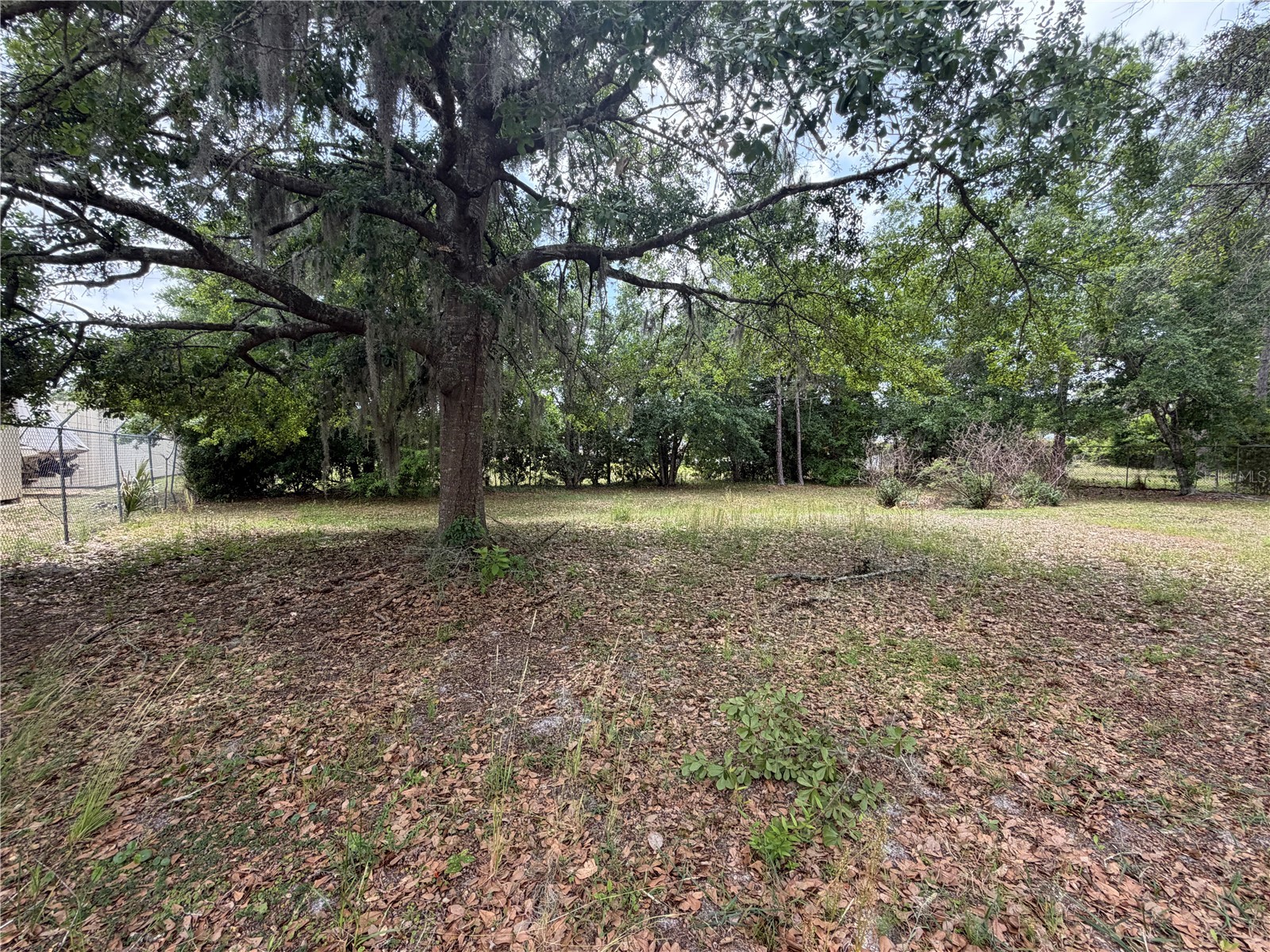 24138 Panther Road Astor FL 32102 G5111412 image9