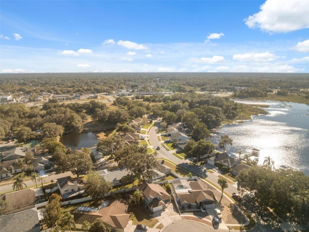 24138 Twin Court Land O Lakes FL 34639 W7880273 image42