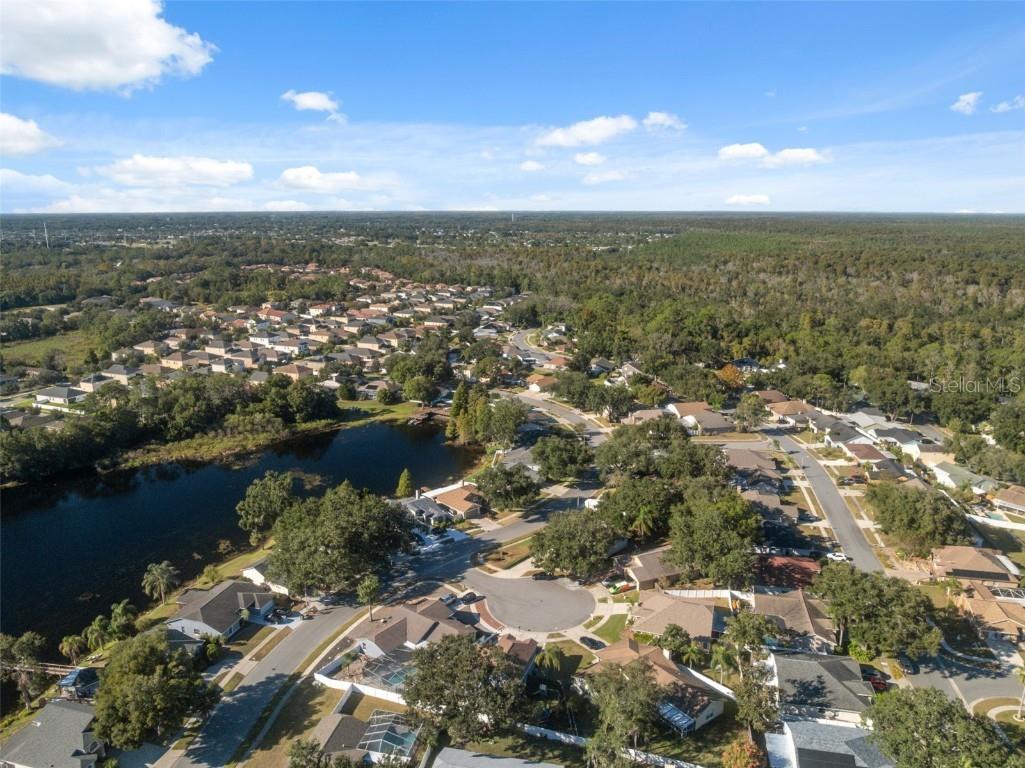 24138 Twin Court Land O Lakes FL 34639 W7880273 image46