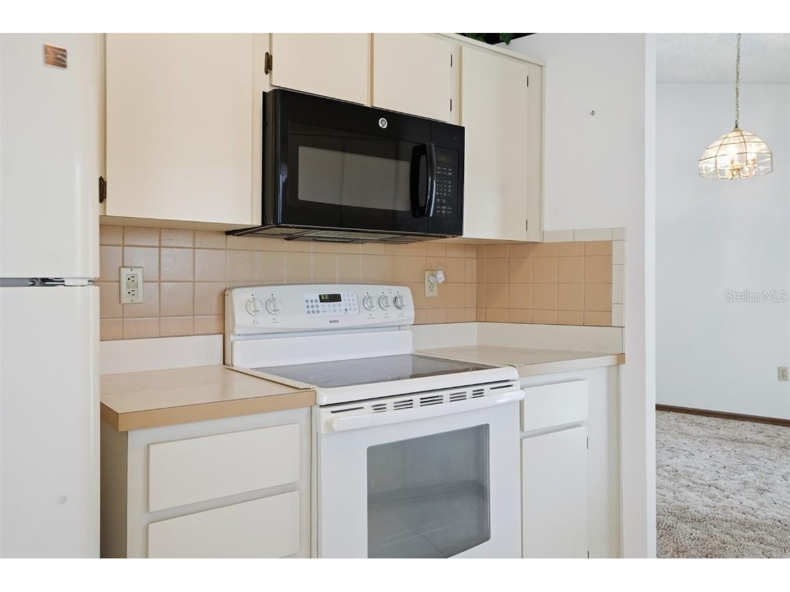 2414 Appian Avenue Spring Hill FL 34608 W7880997 image8