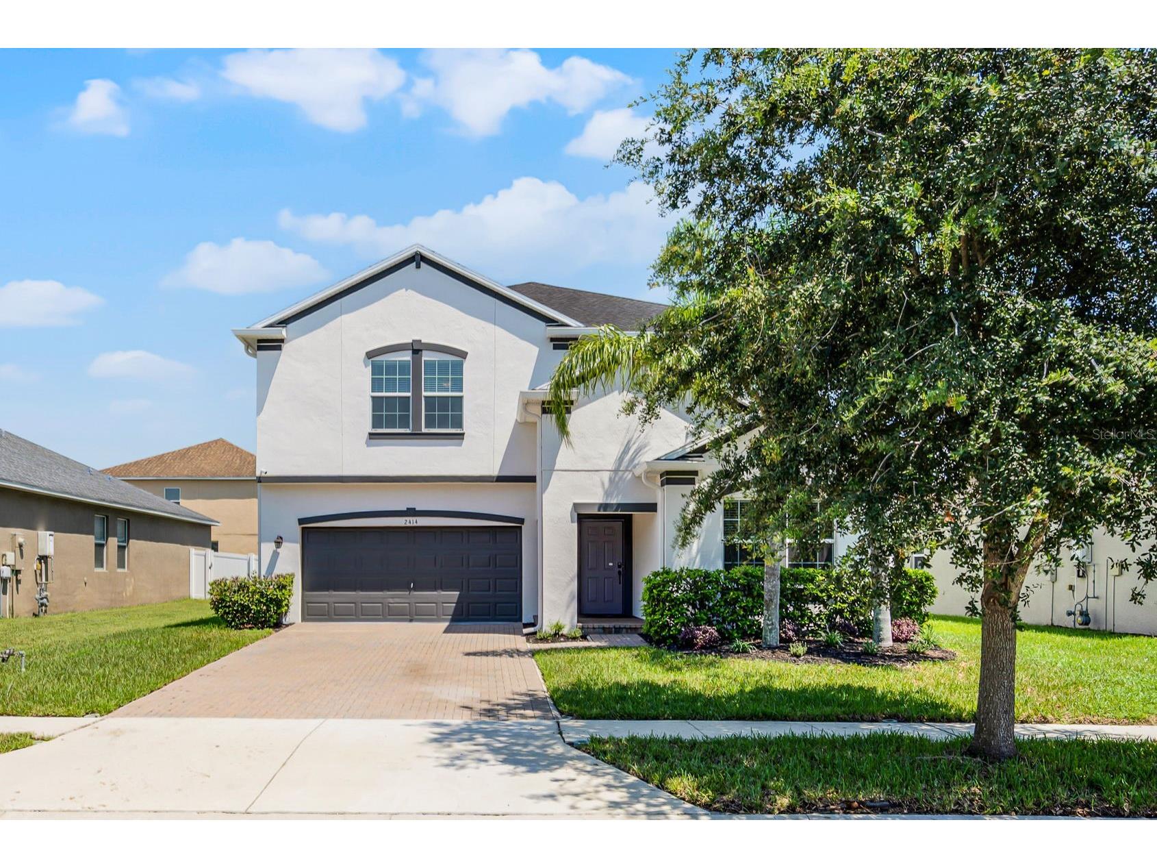 2414 Bartolo Drive Land O Lakes FL 34639 O6338581 image1