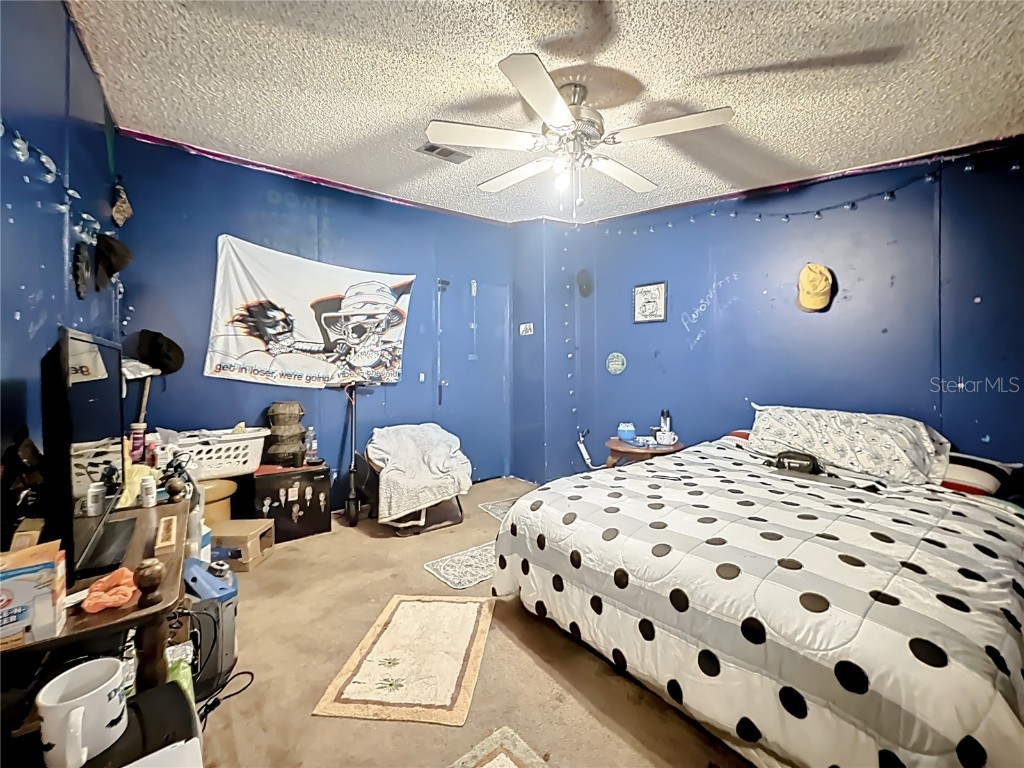 2414 Brock Road Plant City FL 33565 TB8442819 image47