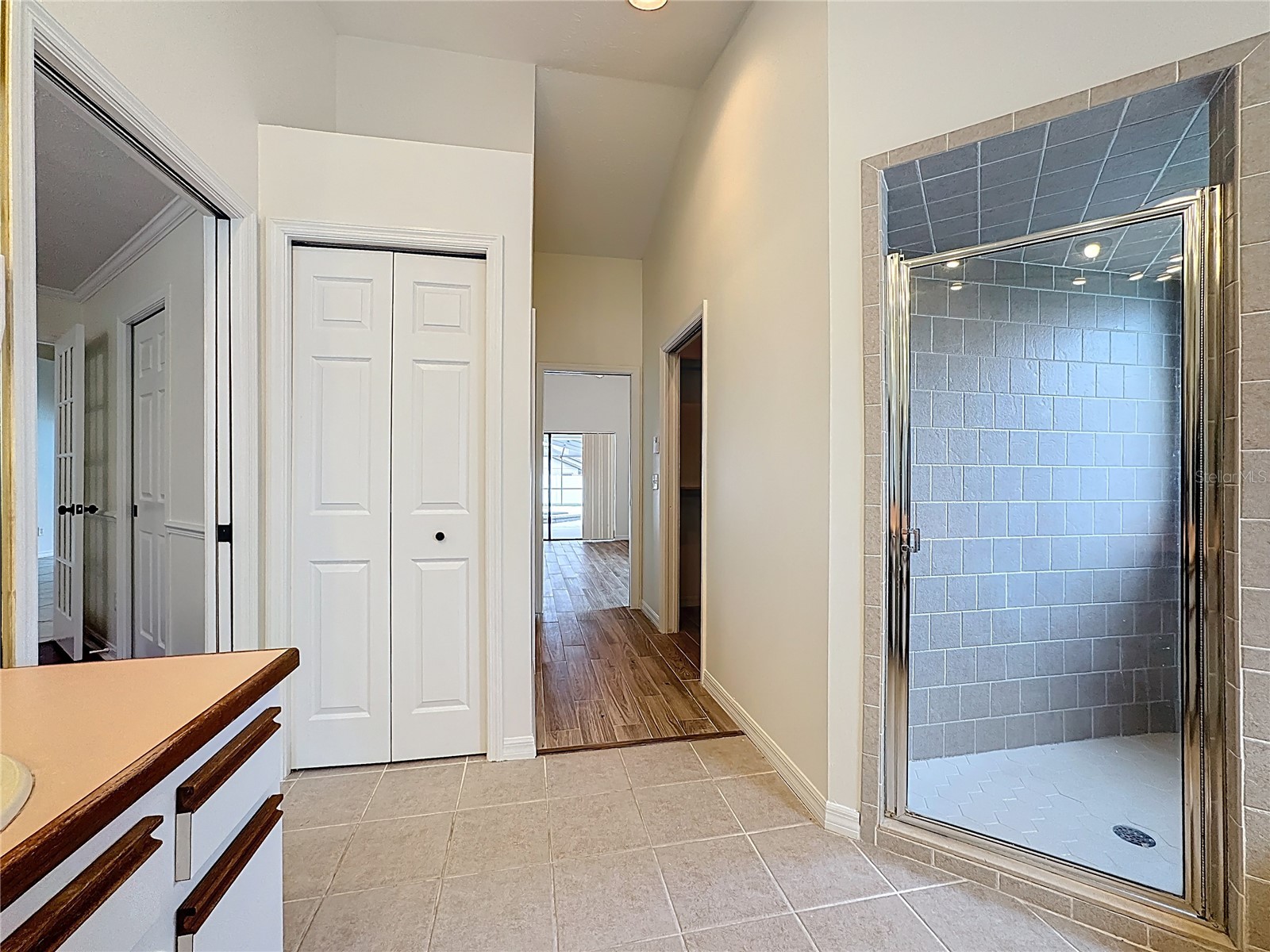 2414 Buckhorn Run Drive Valrico FL 33596 TB8491963 image14