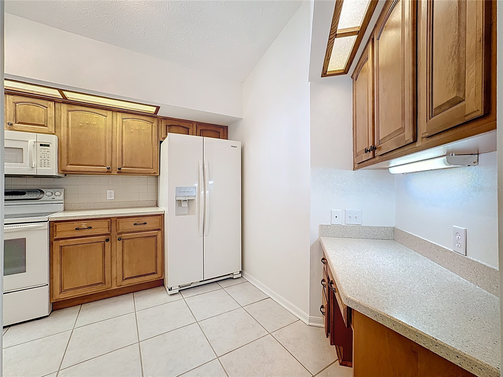 2414 Buckhorn Run Drive Valrico FL 33596 TB8491963 image19