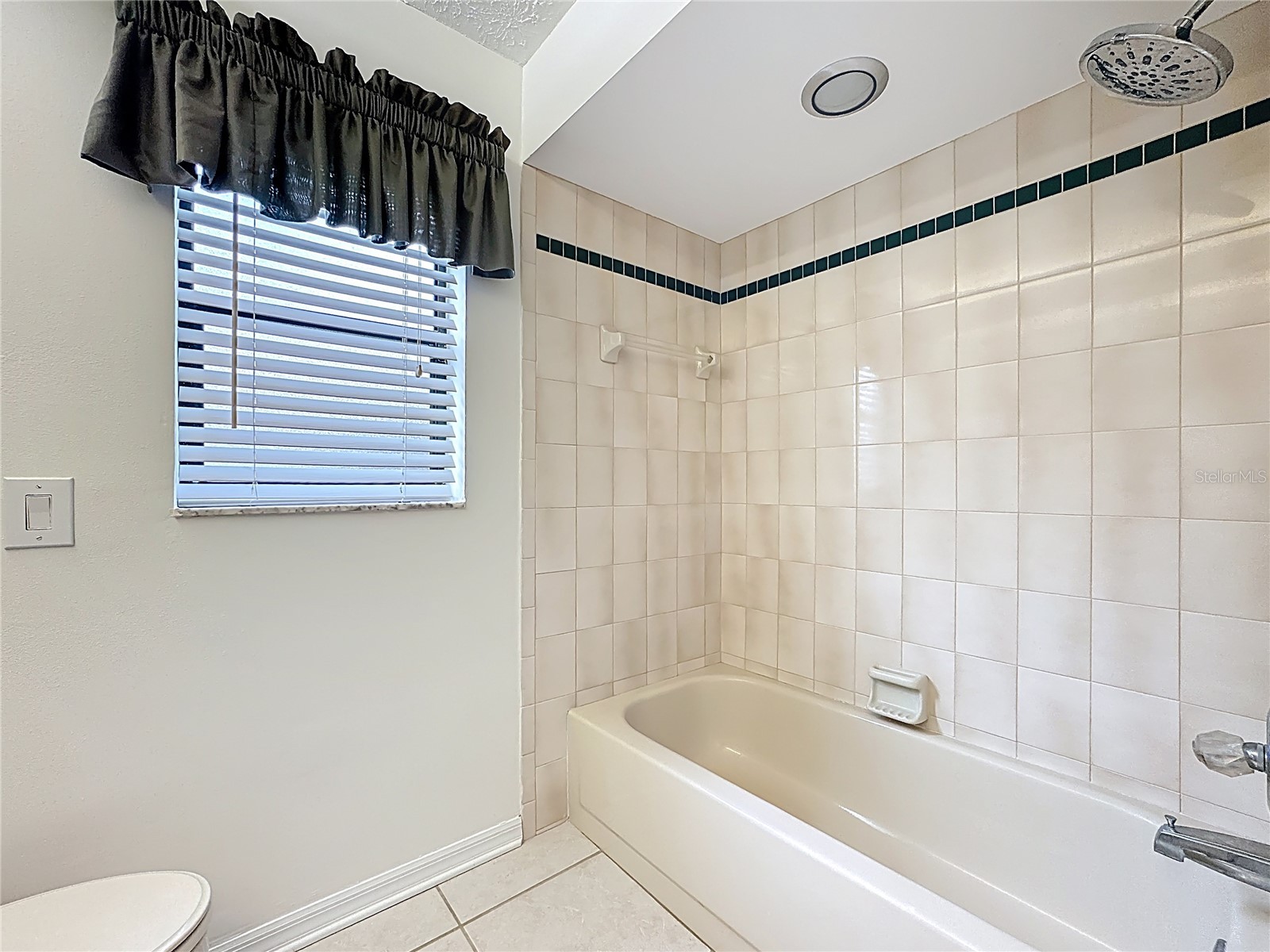 2414 Buckhorn Run Drive Valrico FL 33596 TB8491963 image26