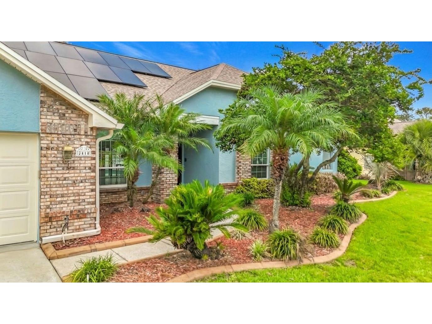2414 Buckhorn Run Drive Valrico FL 33596 TB8491963 image3
