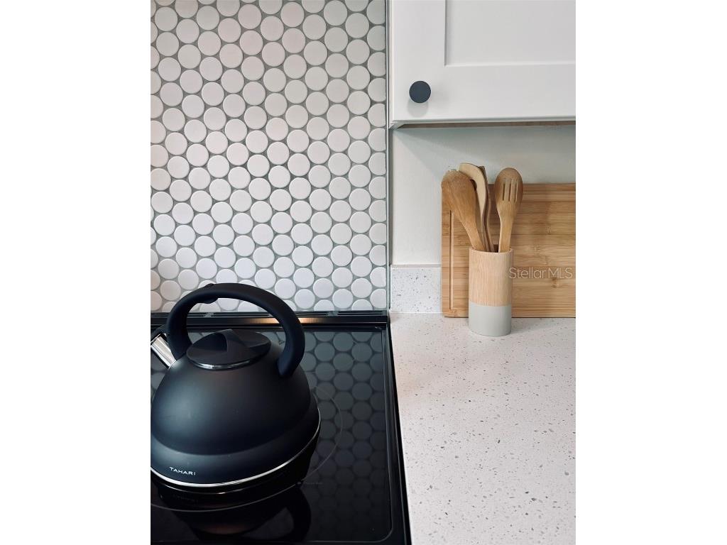 2414 Center Avenue Orlando FL 32806 O6340286 image6