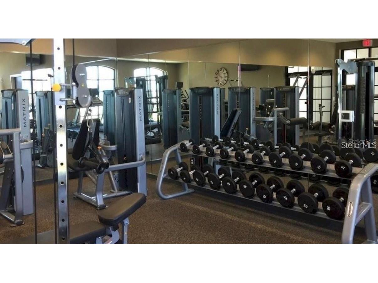 2414 Dubai Street Kissimmee FL 34747 O6414579 image38