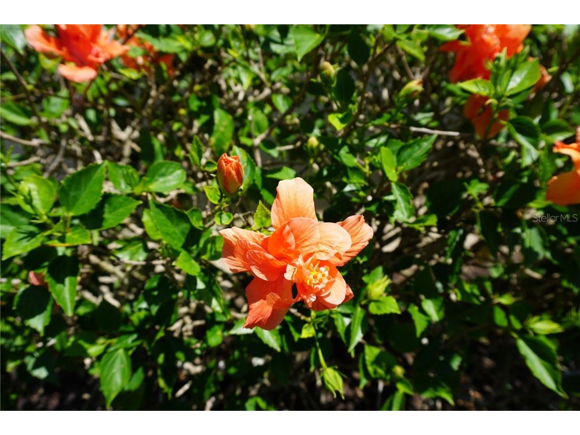 24141 Green Heron Drive #23 Punta Gorda FL 33980 C7508487 image38