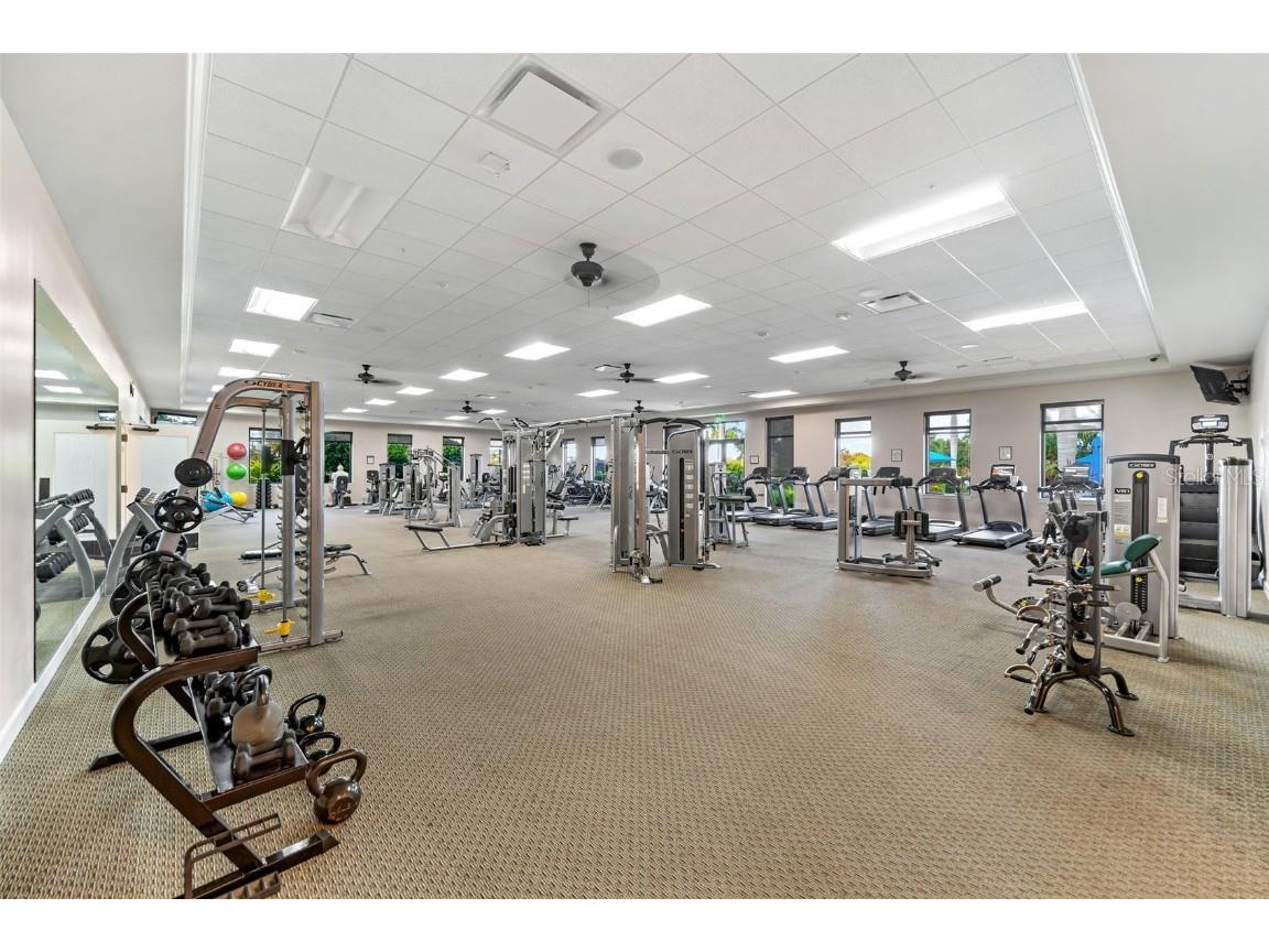 24141 Spartina Drive Venice FL 34293 A4666367 image52