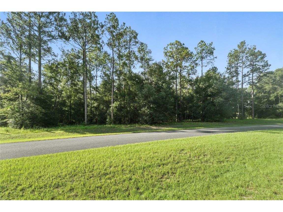 24148 Deep Springs Loop Eustis FL 32736 O6328995 image10