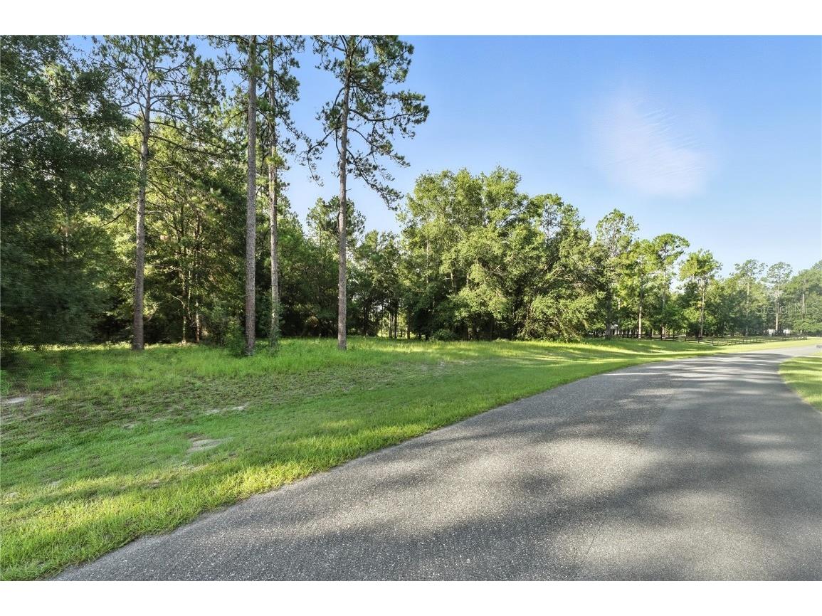 24148 Deep Springs Loop Eustis FL 32736 O6328995 image11