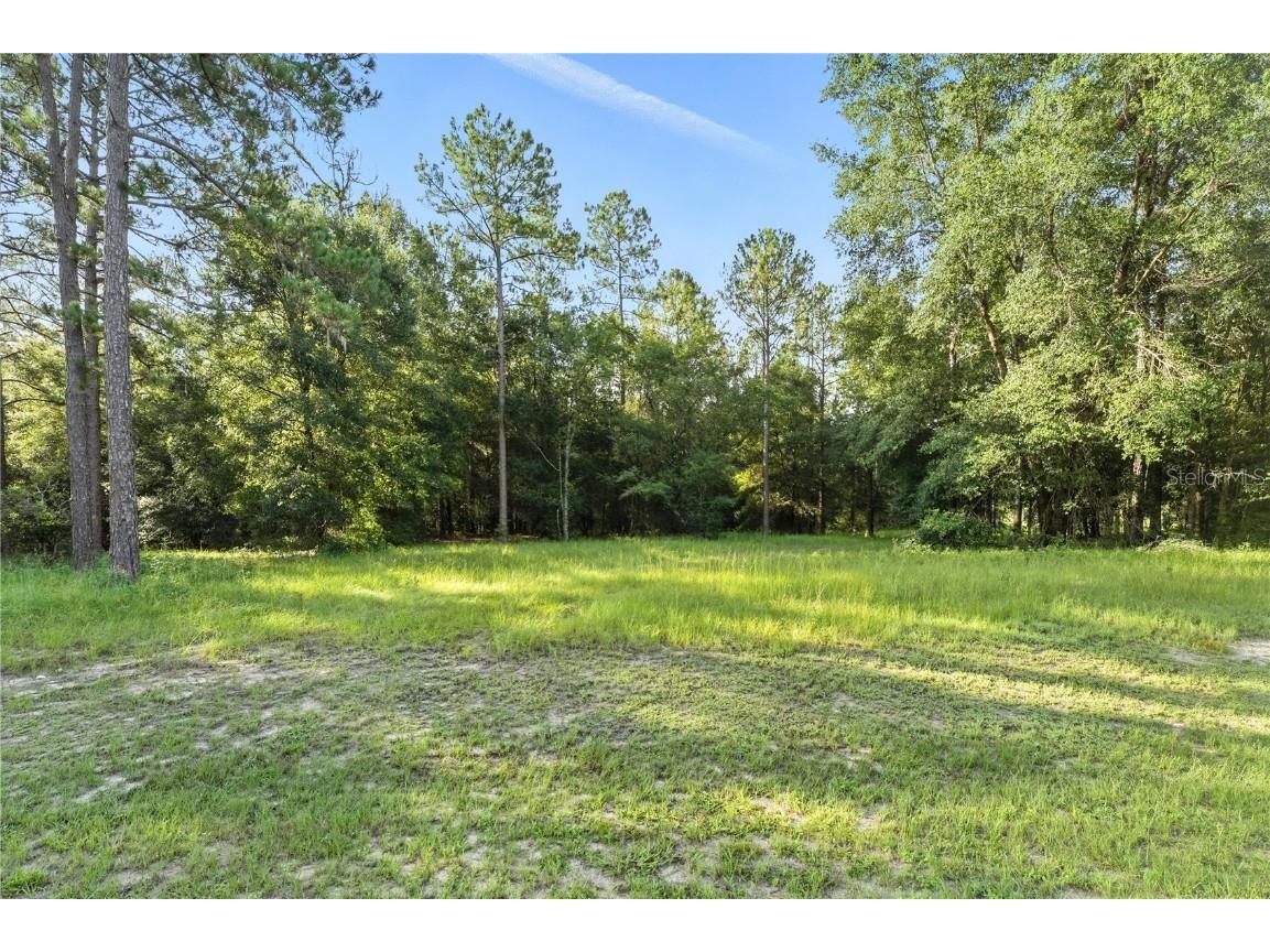 24148 Deep Springs Loop Eustis FL 32736 O6328995 image12