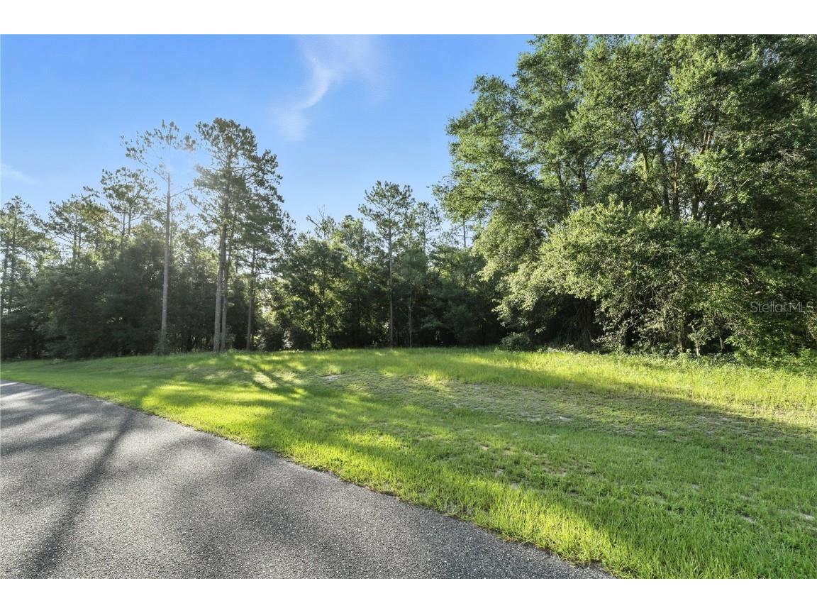 24148 Deep Springs Loop Eustis FL 32736 O6328995 image13