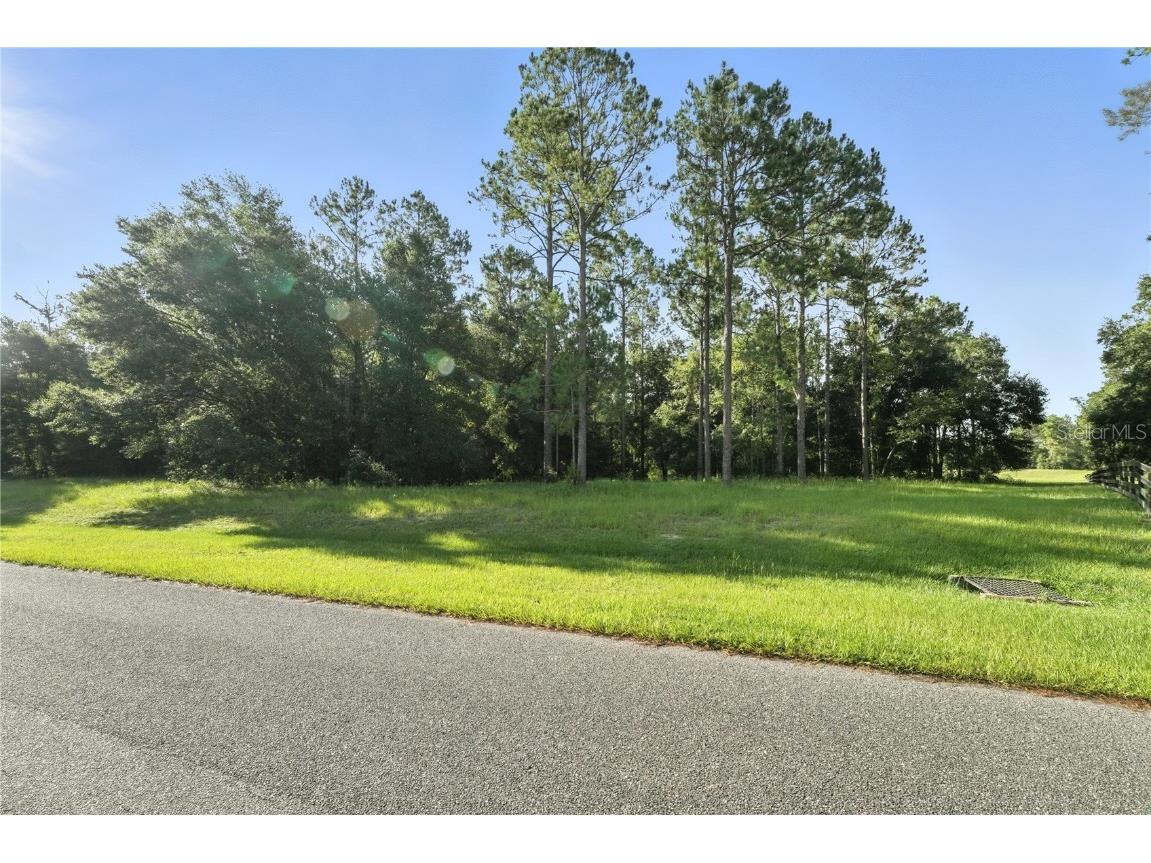 24148 Deep Springs Loop Eustis FL 32736 O6328995 image14