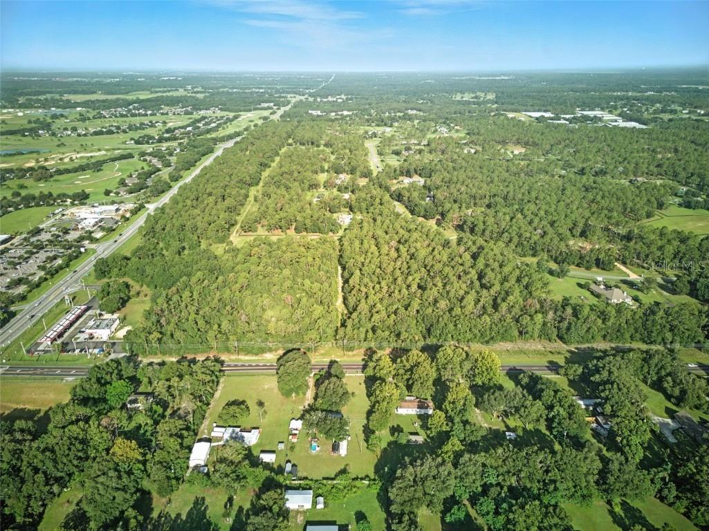 24148 Deep Springs Loop Eustis FL 32736 O6328995 image18