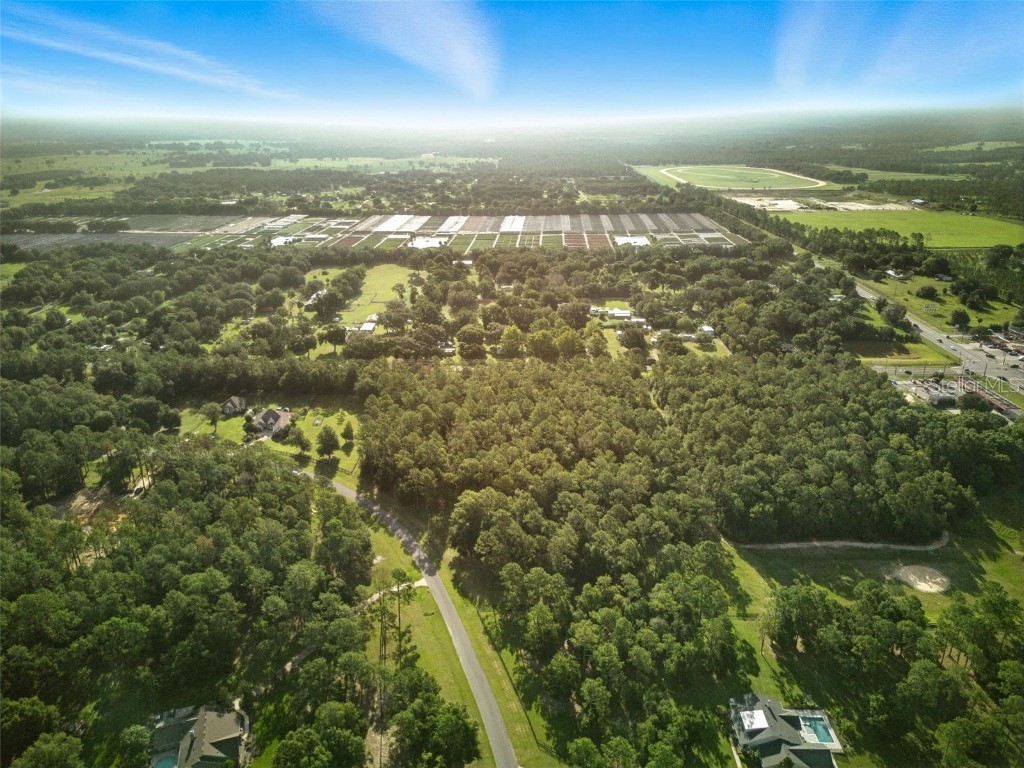 24148 Deep Springs Loop Eustis FL 32736 O6328995 image21