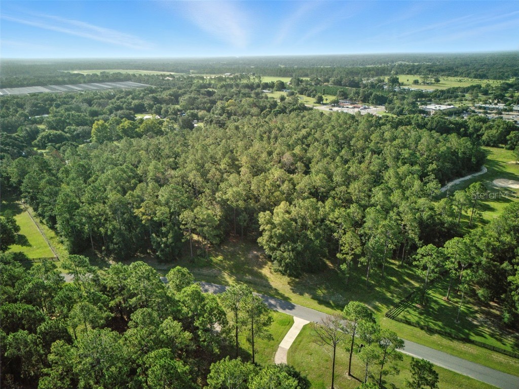 24148 Deep Springs Loop Eustis FL 32736 O6328995 image24