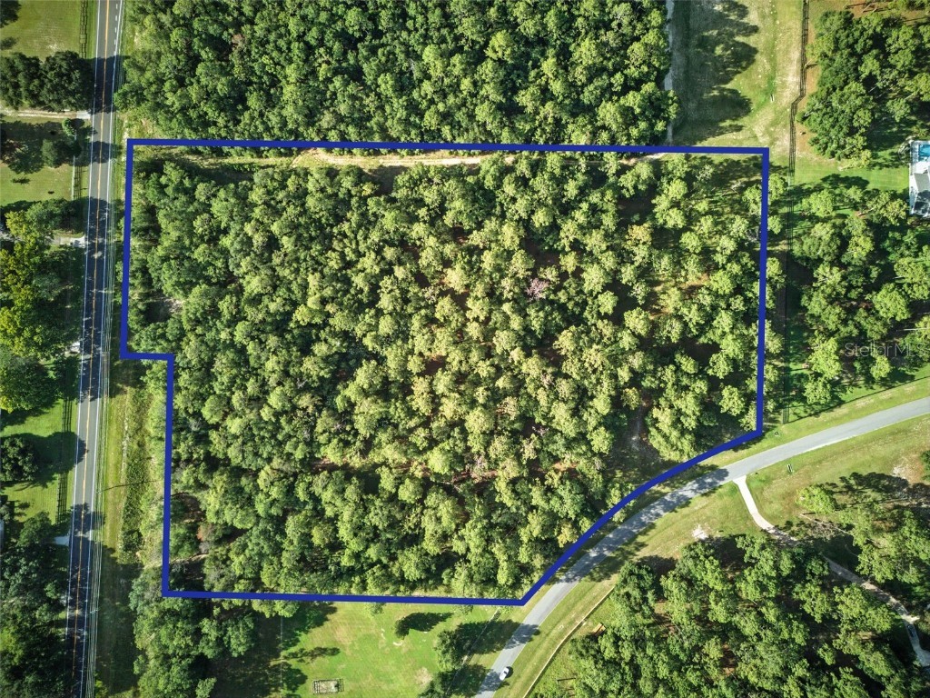 24148 Deep Springs Loop Eustis FL 32736 O6328995 image4