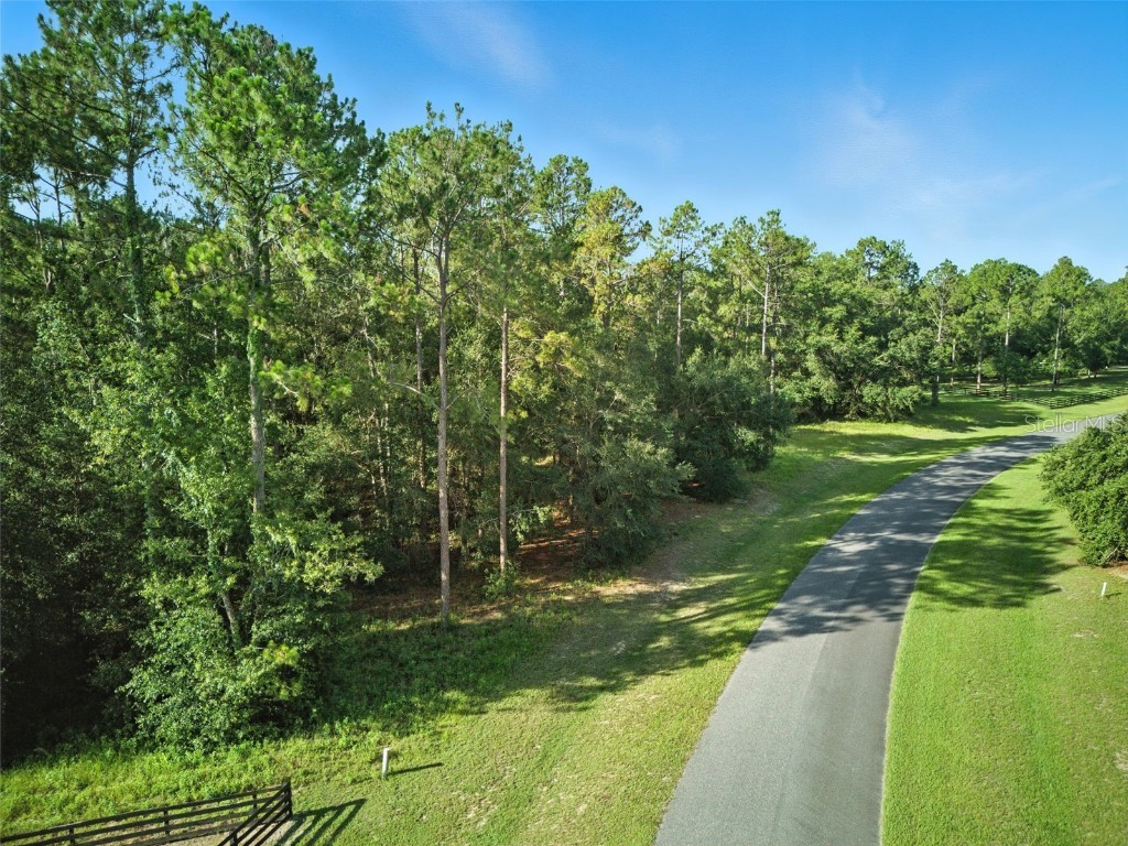 24148 Deep Springs Loop Eustis FL 32736 O6328995 image5