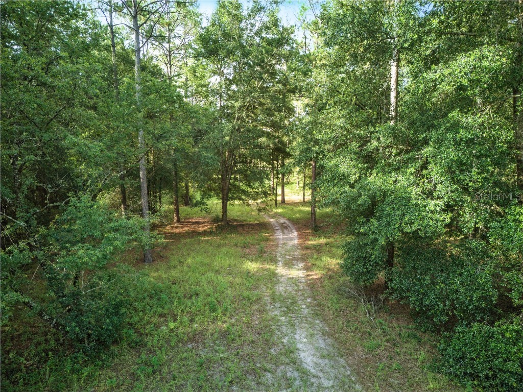 24148 Deep Springs Loop Eustis FL 32736 O6328995 image6