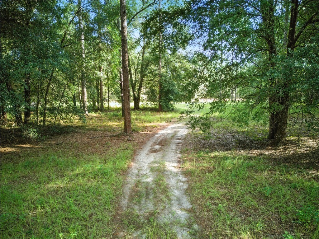 24148 Deep Springs Loop Eustis FL 32736 O6328995 image7