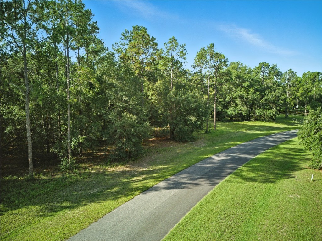 24148 Deep Springs Loop Eustis FL 32736 O6328995 image8