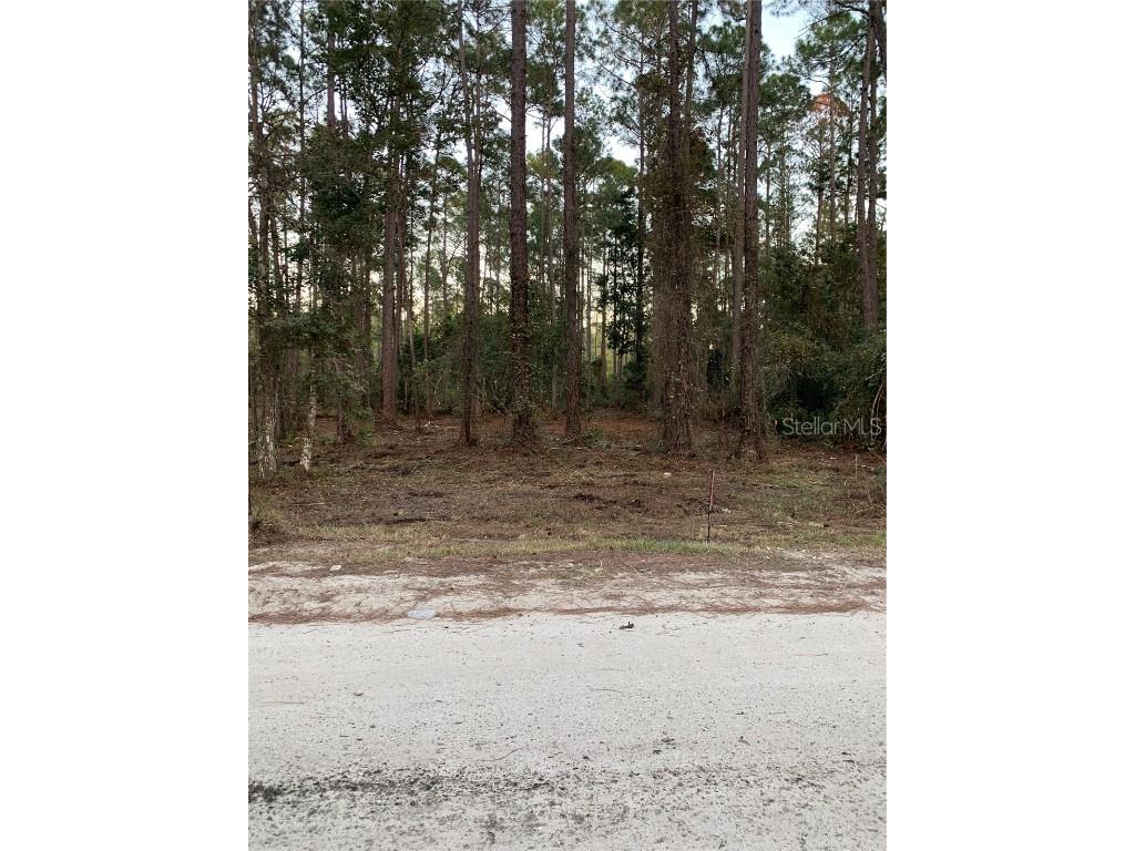 2415 Central Parkway Deland FL 32724 V4933702 image1