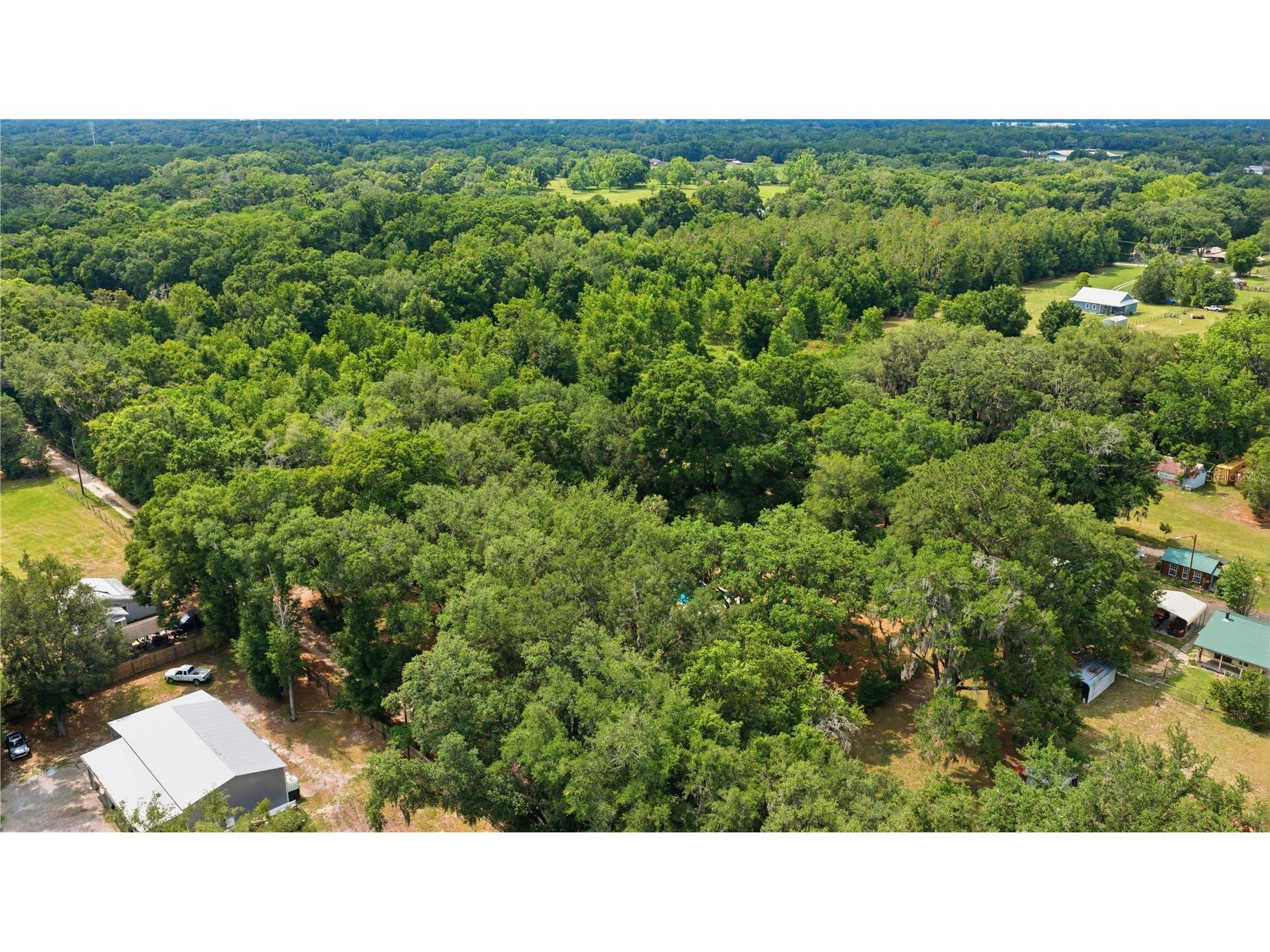 2415 NE 59th Place Ocala FL 34479 OM725244 image43