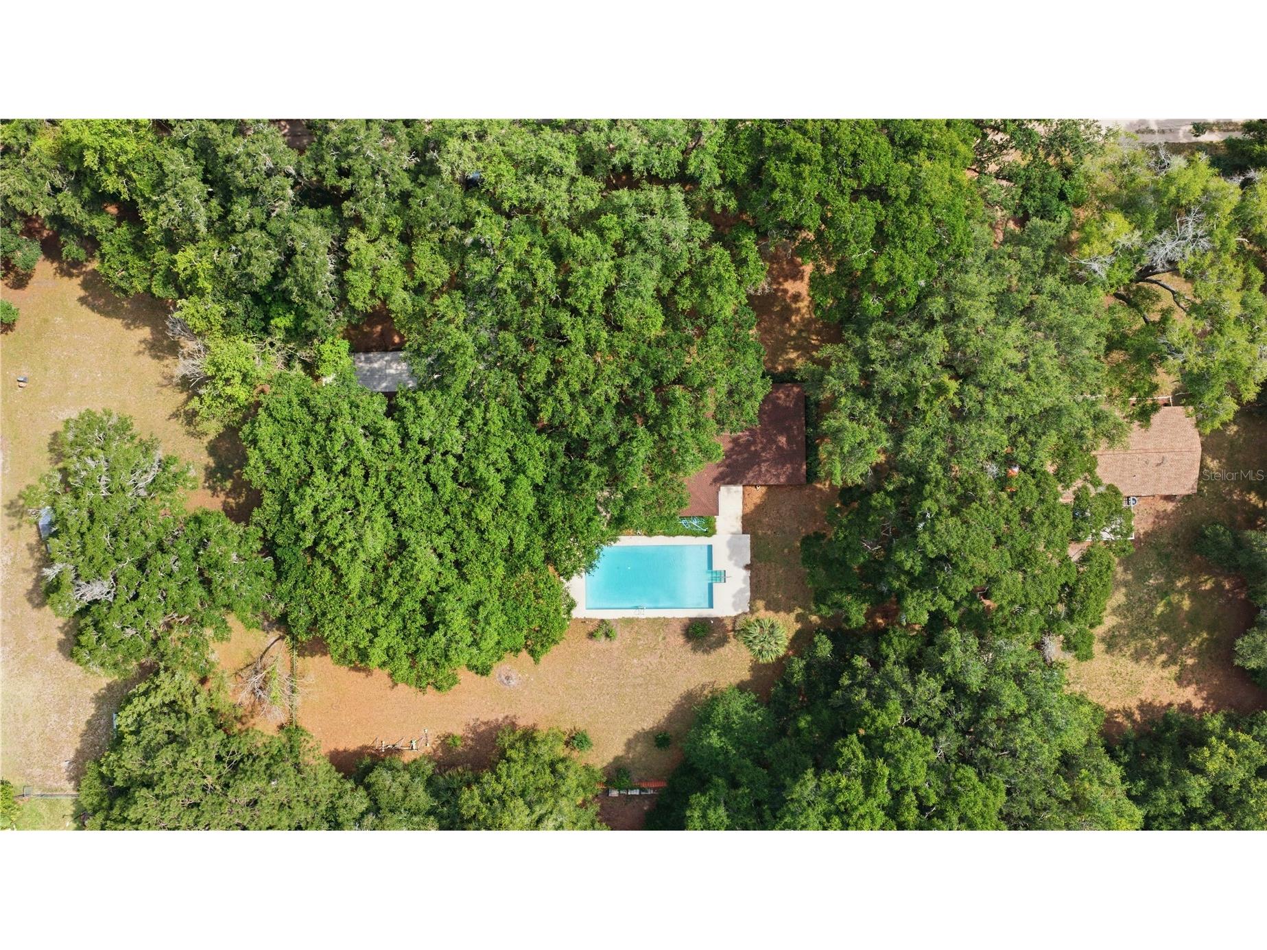 2415 NE 59th Place Ocala FL 34479 OM725244 image44