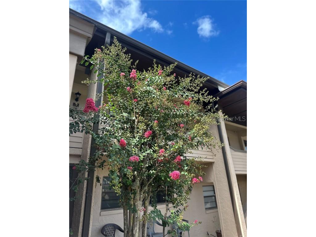 2415 NE 7th Street #2 Ocala FL 34470 OM707247 image3