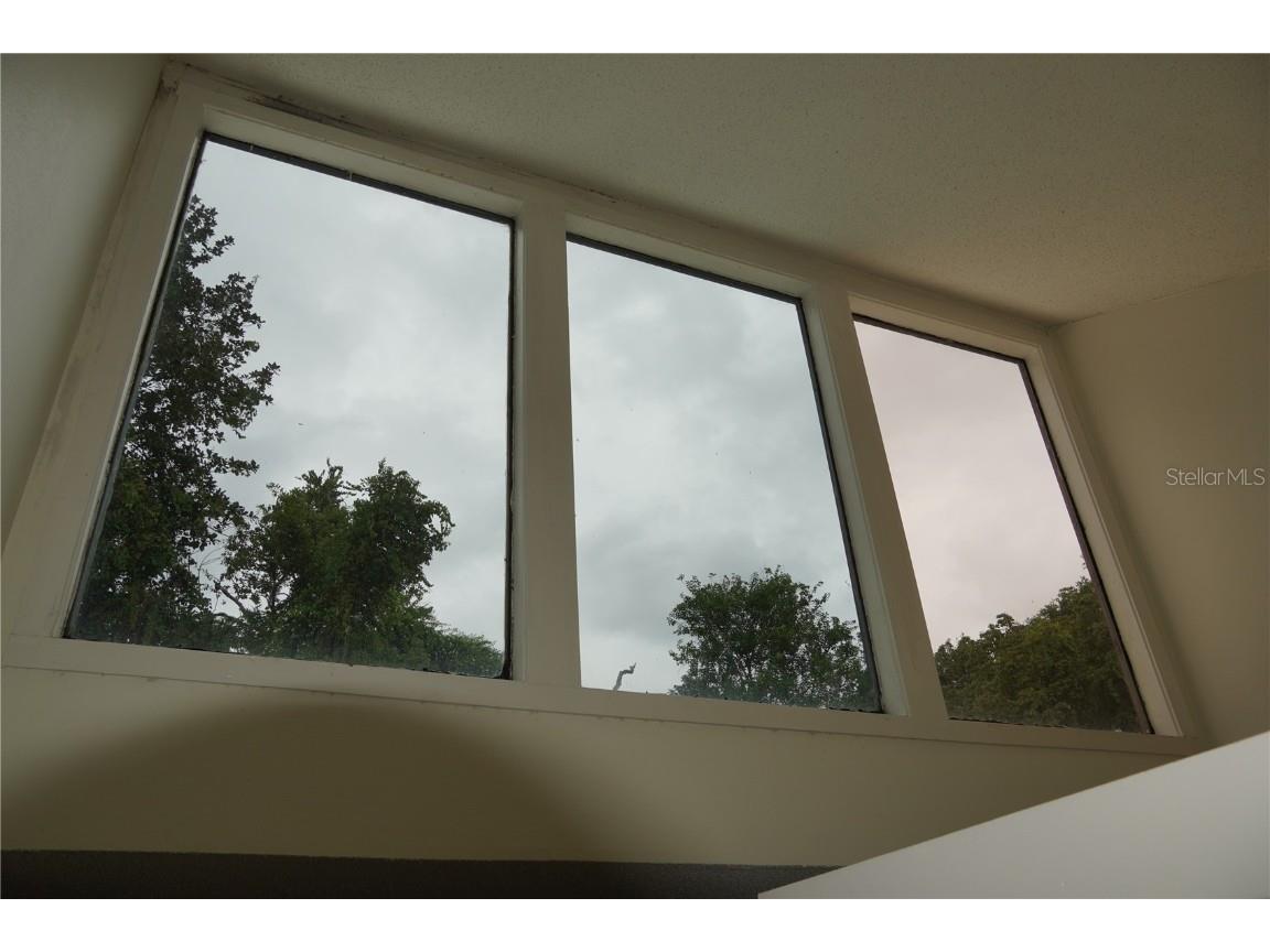 2415 NE 7th Street #8 Ocala FL 34470 OM712359 image7