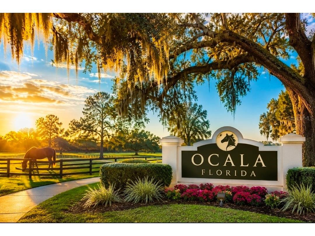 2415 NE 7th Street #8 Ocala FL 34470 OM724487 image43