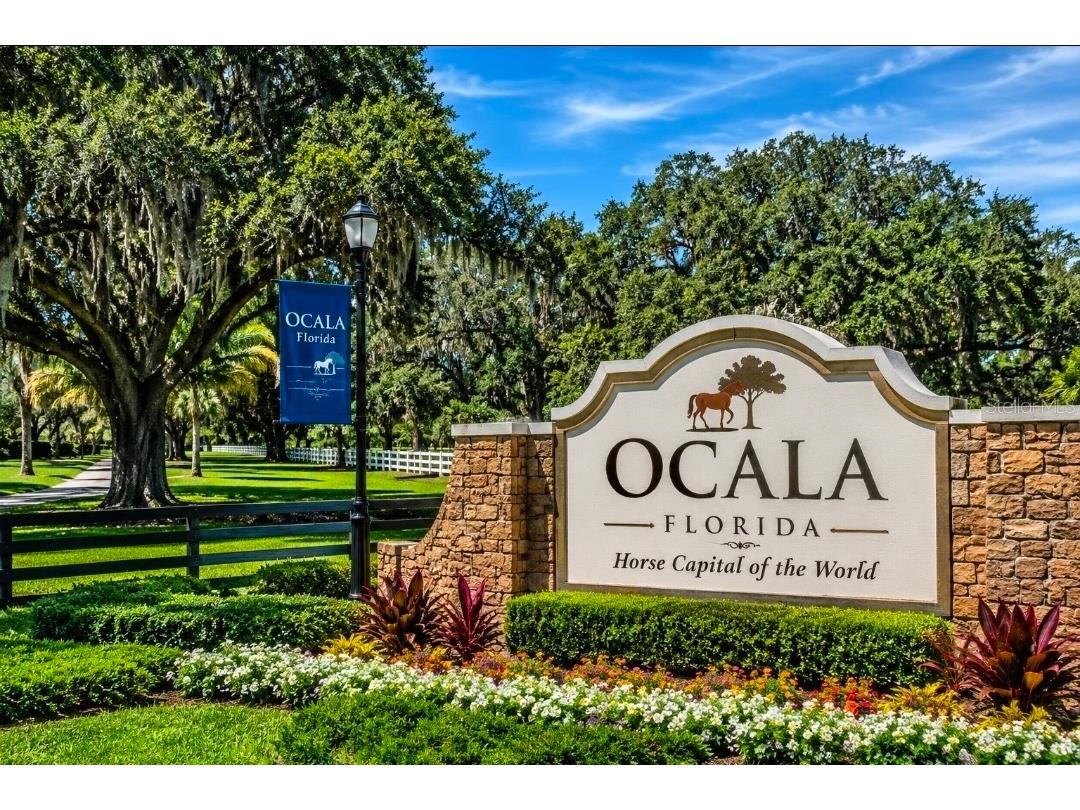 2415 NE 7th Street #8 Ocala FL 34470 OM724487 image48
