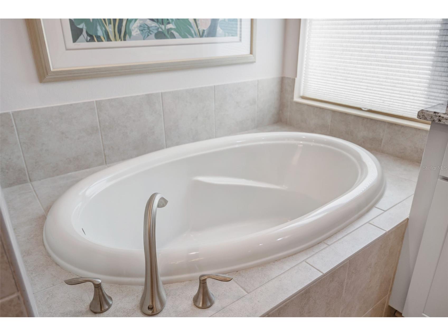2415 Oakwood Preserve Drive Wesley Chapel FL 33543 TB8499674 image31